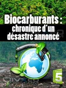 biocarburants-chronique-dun-desastre-annonce-sylvie-chabas-realisatrice